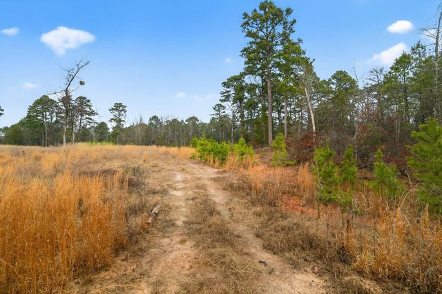 868 County Road 2920, Alba, TX 75410