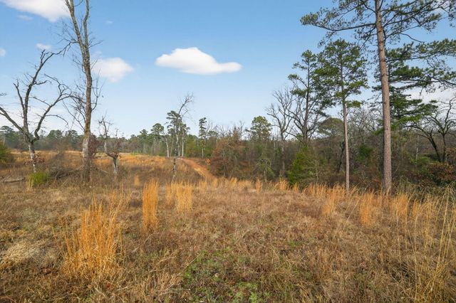 868 County Road 2920, Alba, TX 75410