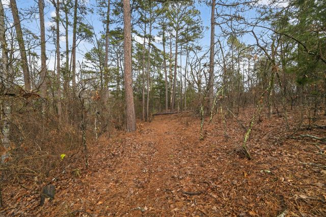 868 County Road 2920, Alba, TX 75410