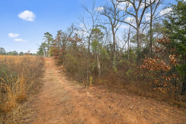 868 County Road 2920, Alba, TX 75410