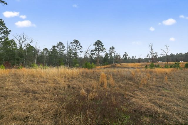 868 County Road 2920, Alba, TX 75410