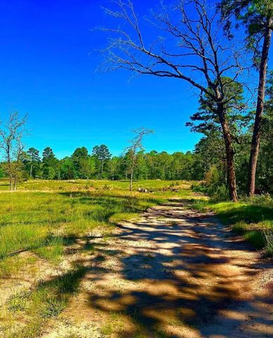 868 County Road 2920, Alba, TX 75410