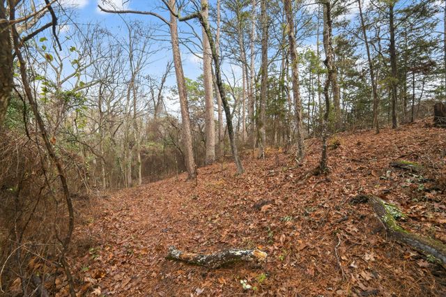 868 County Road 2920, Alba, TX 75410