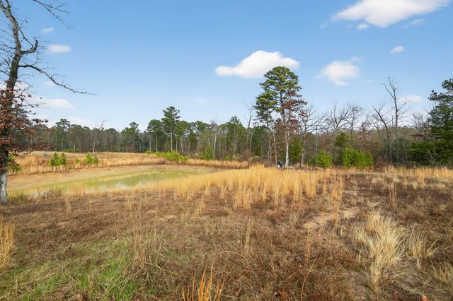 868 County Road 2920, Alba, TX 75410