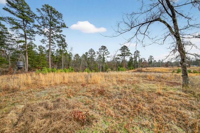 868 County Road 2920, Alba, TX 75410