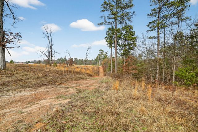 868 County Road 2920, Alba, TX 75410