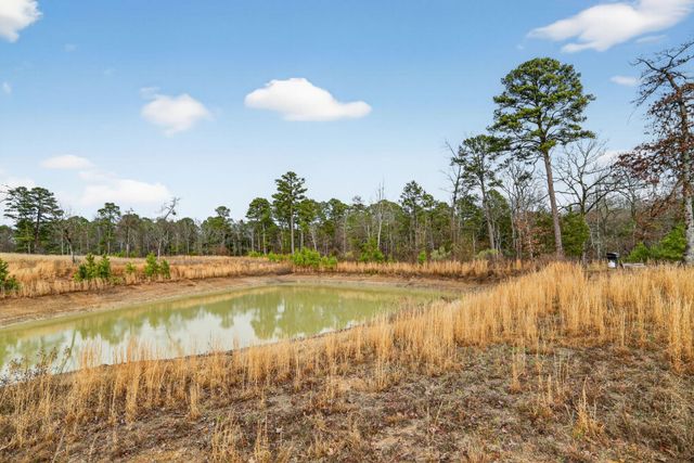 868 County Road 2920, Alba, TX 75410