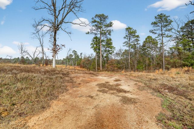 868 County Road 2920, Alba, TX 75410