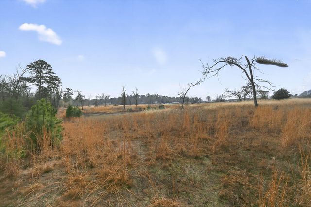 868 County Road 2920, Alba, TX 75410