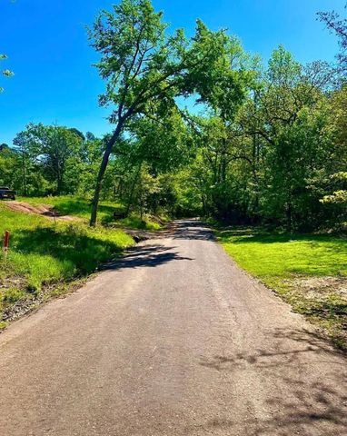 868 County Road 2920, Alba, TX 75410