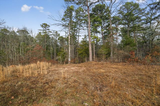 868 County Road 2920, Alba, TX 75410