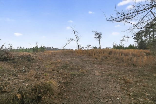 868 County Road 2920, Alba, TX 75410