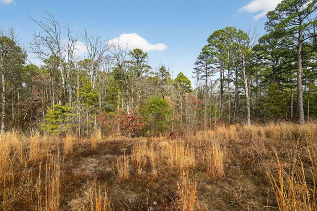 868 County Road 2920, Alba, TX 75410