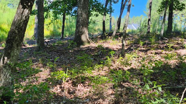 705 Crockett Loop, Jasper, TN 37347