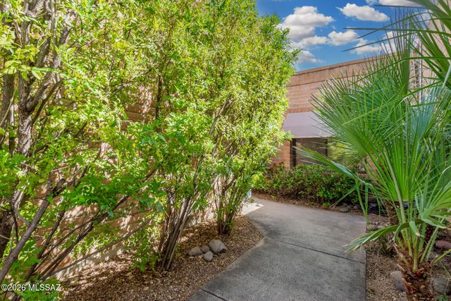 4568 N Camino Campero, Tucson, AZ 85750