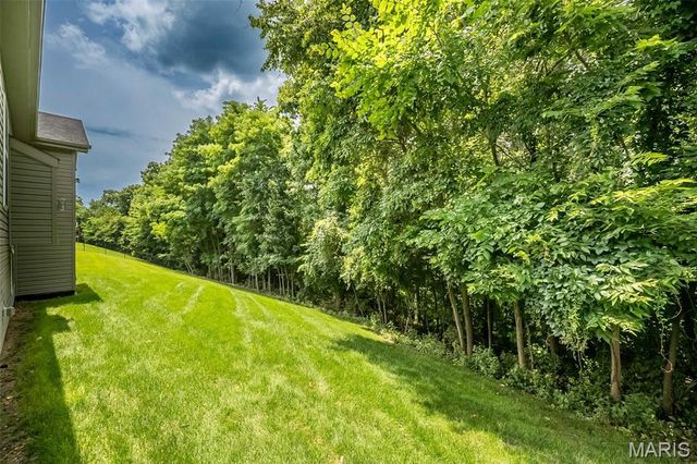 83 S Ridgewynd Court, Lake St Louis, MO 63367