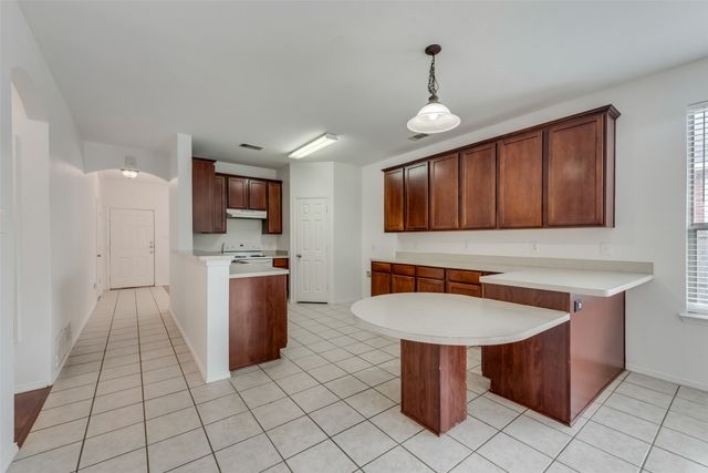 287 Big Bear Drive, Melissa, TX 75454