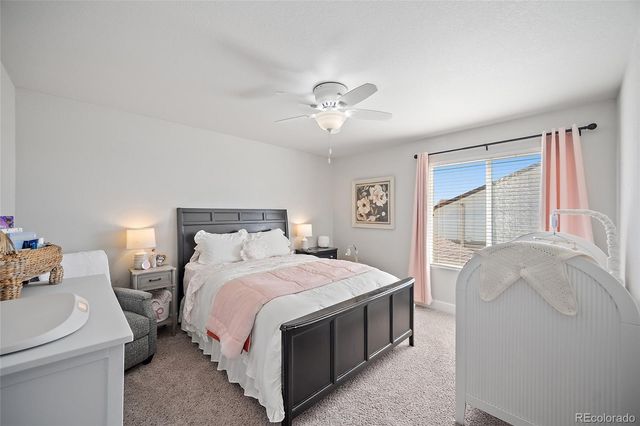 7814 Pinfeather Drive, Fountain, CO 80817