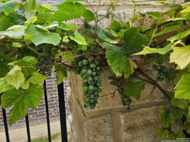 907 RANCH FALLS, San Antonio, TX 78245