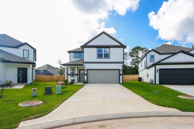 13536 Sauger Court, Conroe, TX 77384