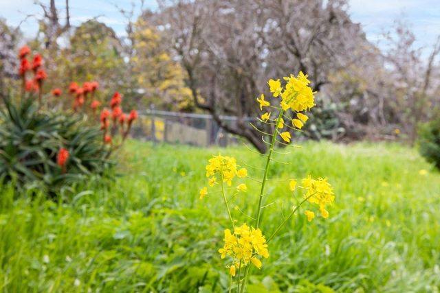 4800 4800 Hilltop Dr, El Sobrante, CA 94803