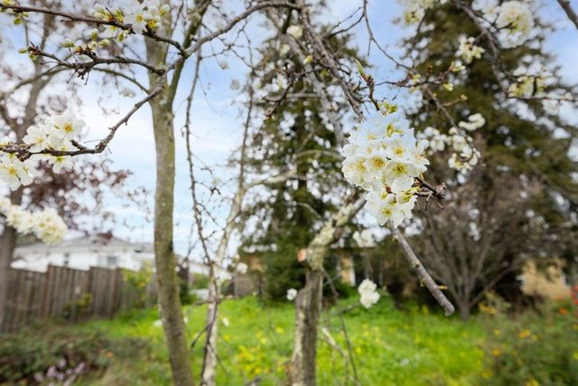 4800 4800 Hilltop Dr, El Sobrante, CA 94803