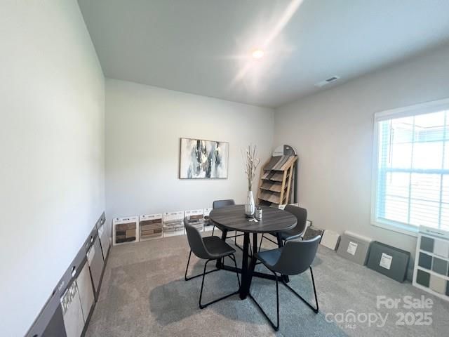 1250 Gardenia Drive 13, Mt Ulla, NC 28125