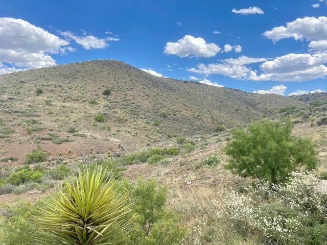 1018 Matewan Dr, Alpine, TX 79830