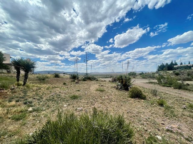 1018 Matewan Dr, Alpine, TX 79830