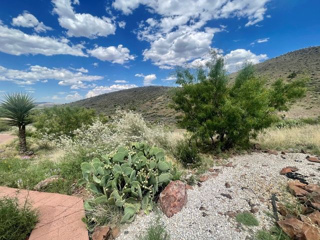 1018 Matewan Dr, Alpine, TX 79830