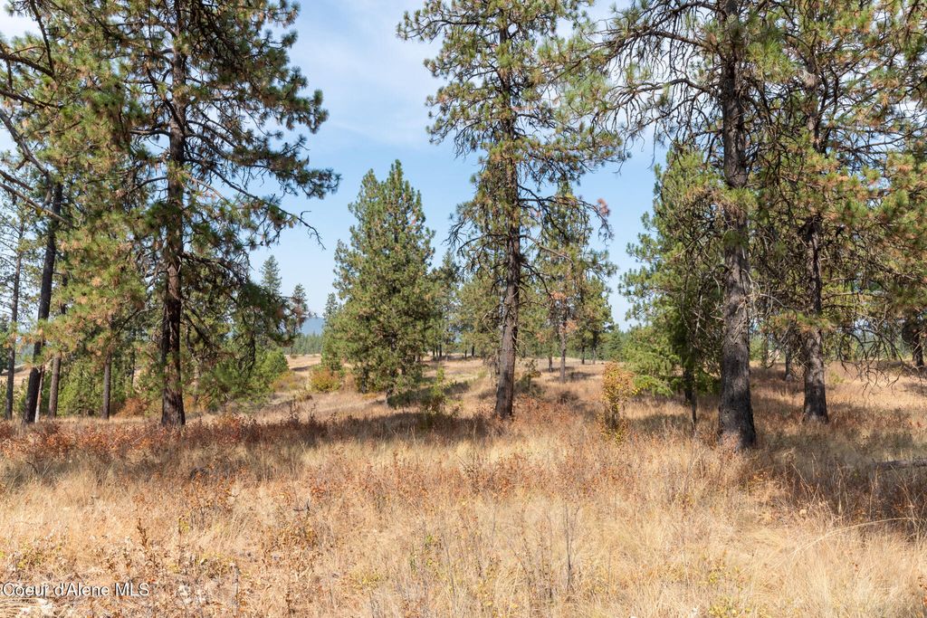 NKA 42-Ac Incline Dr, Harrison, ID 83833 photo 10