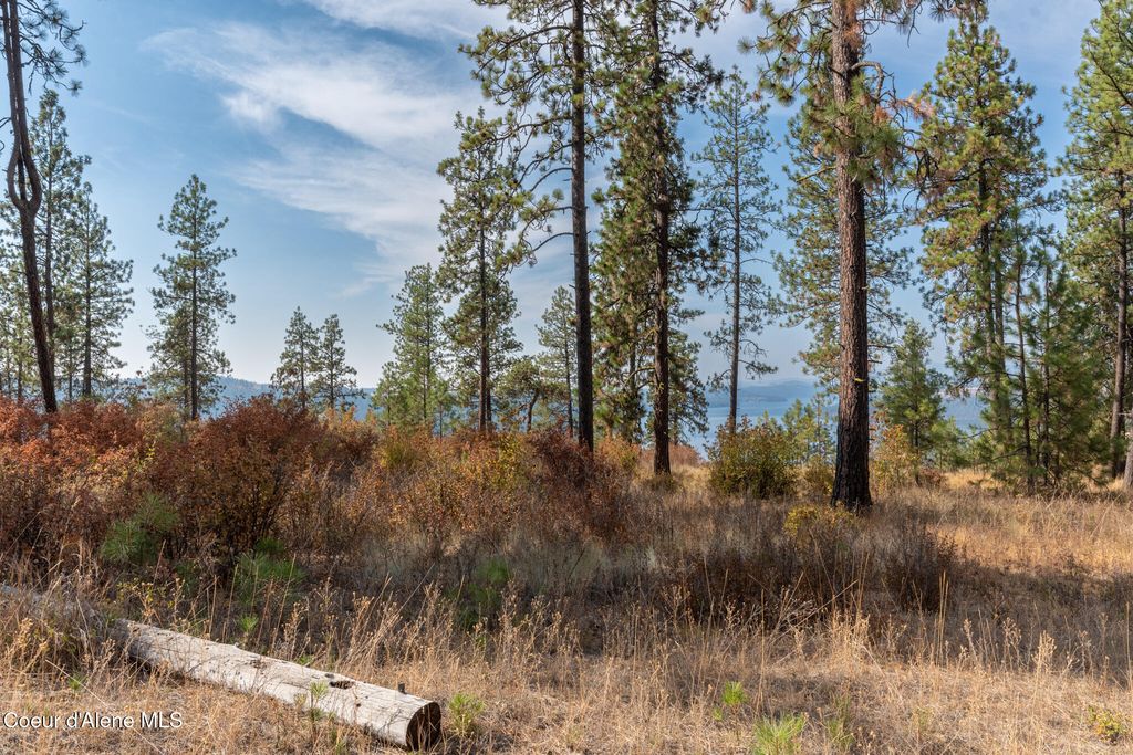 NKA 42-Ac Incline Dr, Harrison, ID 83833 photo 17