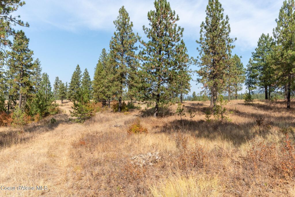 NKA 42-Ac Incline Dr, Harrison, ID 83833 photo 20