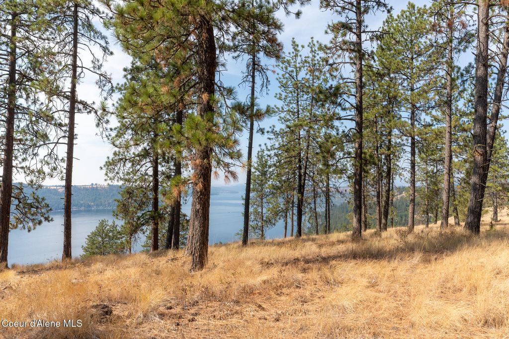 NKA 42-Ac Incline Dr, Harrison, ID 83833 photo 4