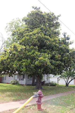 210 E Roberts Street, Gorman, TX 76454