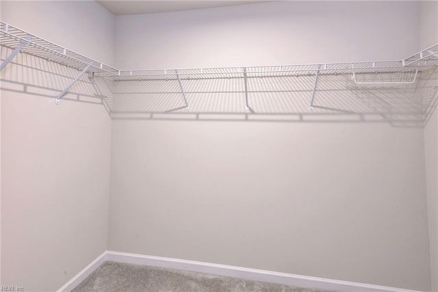 112 Sourgum LN, Williamsburg, VA 23185