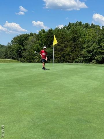 9841 Ridgecrest Drive, Hillsboro, MO 63050