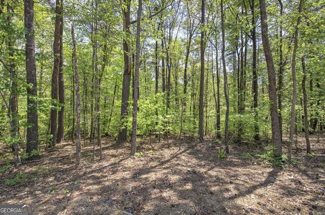 7463 Yukon Road, Talking Rock, GA 30175