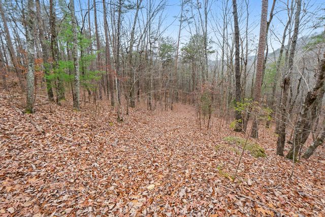 0 Retro Hughes Road, Sale Creek, TN 37373