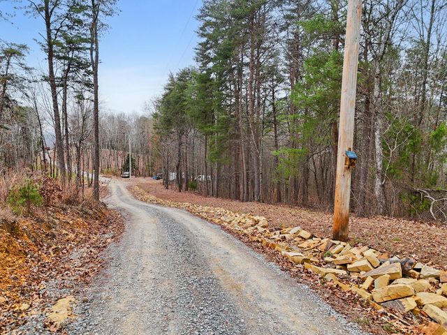 0 Retro Hughes Road, Sale Creek, TN 37373