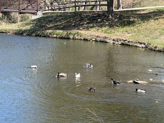 10732 Lipan Trail, Fort Worth, TX 76108