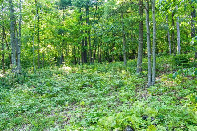 TBD Lantern Lane, Hackensack, MN 56655