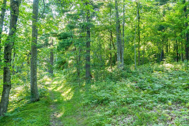 TBD Lantern Lane, Hackensack, MN 56655