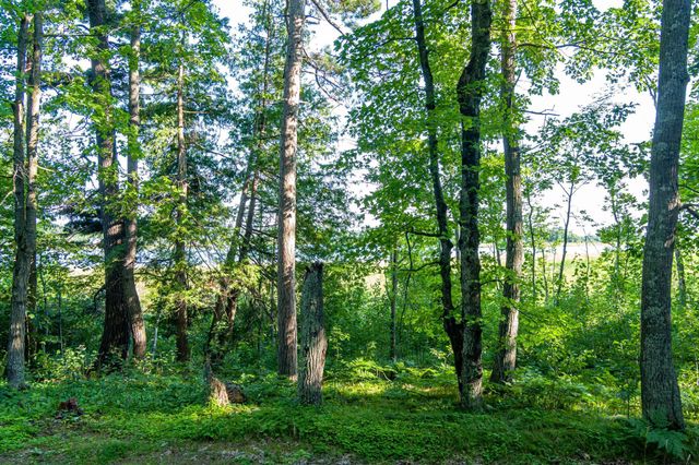 TBD Lantern Lane, Hackensack, MN 56655