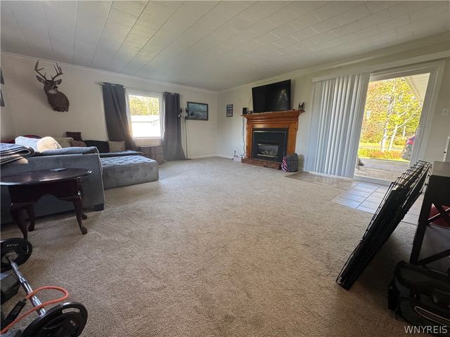 10180 Partridge Road, Colden, NY 14080