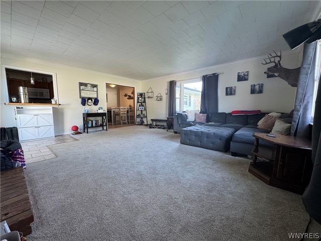 10180 Partridge Road, Colden, NY 14080