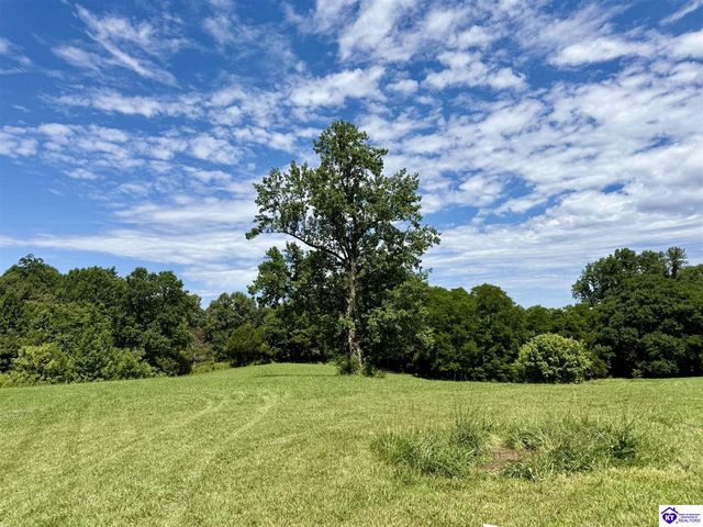 1383 Wonderland Cavern Road, Cecilia, KY 42724