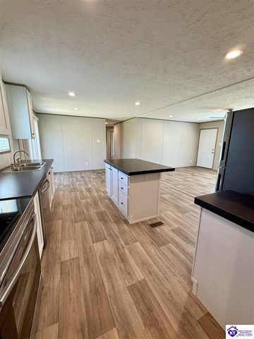 1383 Wonderland Cavern Road, Cecilia, KY 42724