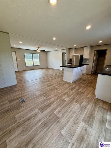 1383 Wonderland Cavern Road, Cecilia, KY 42724