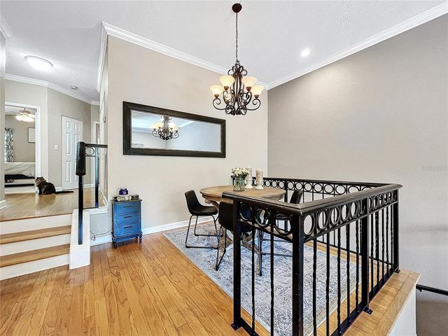 704 SEAGATE DRIVE, Tampa, FL 33602